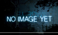 Installation de Samuel François, « No image yet », Paris, 2011