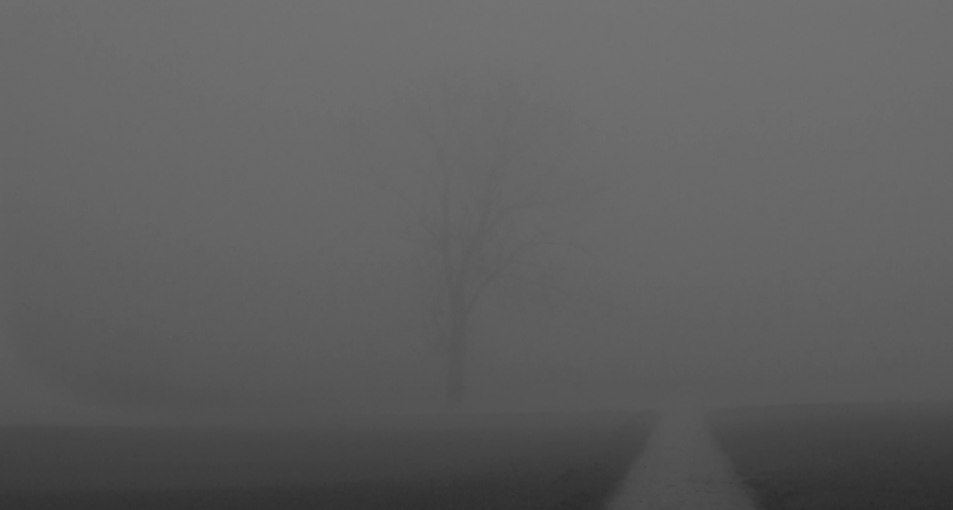 Image 100000000000056B000002E7D68AB74F8A00CD9E.jpg